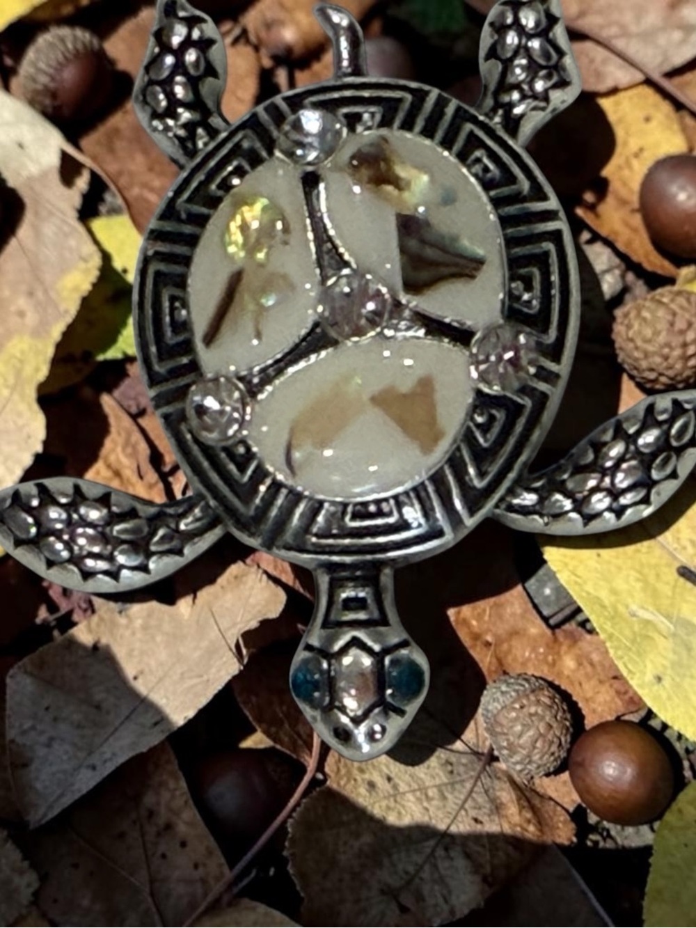 Silver Turtle Brooch